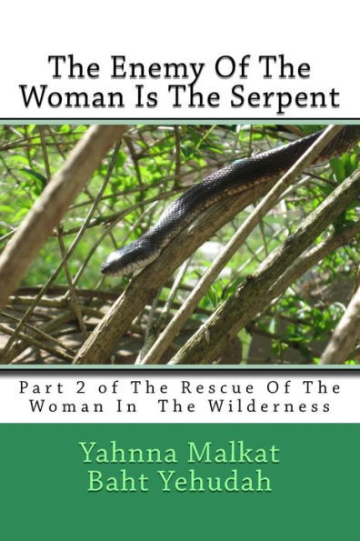 The Enemy Of The Woman Is The Serpent (The Rescue Of The Woman In The Wilderness)