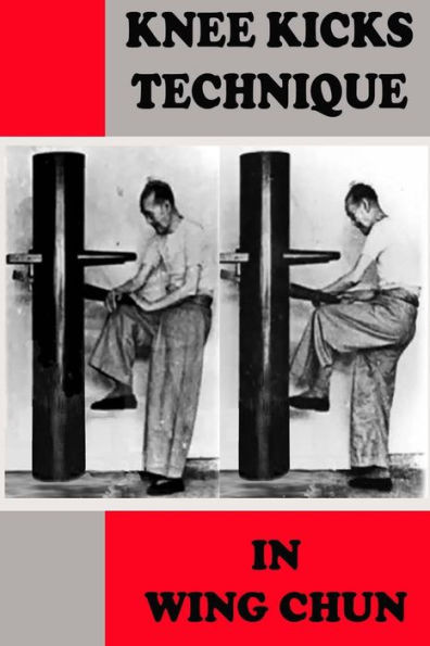 Knee Kicks Technique In Wing Chun