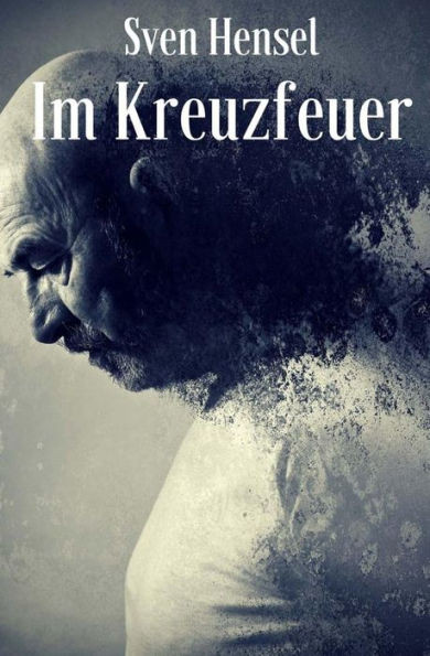 Im Kreuzfeuer (German Edition)