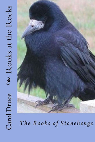 Rooks At The Rocks: - The Rooks Of Stonehenge