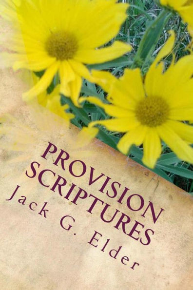 Provision Scriptures: Knowing The Riches Of Grace