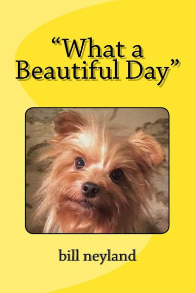 What A Beautiful Day