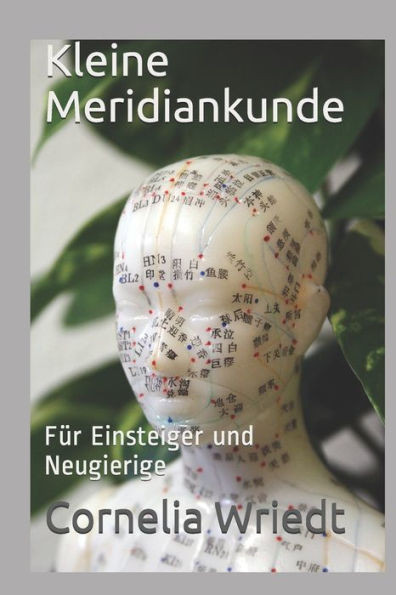 Kleine Meridiankunde: Fur Einsteiger Und Neugierige (German Edition)