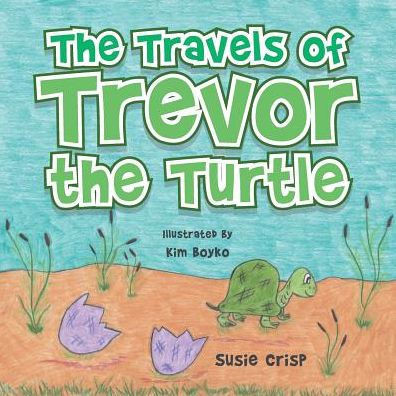 The Travels Of Trevor The Turtle
