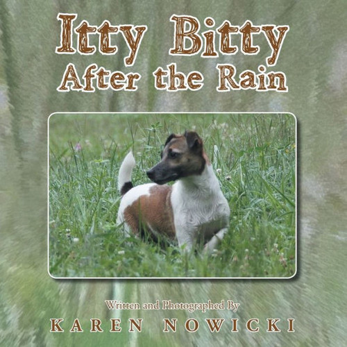 Itty Bitty After The Rain