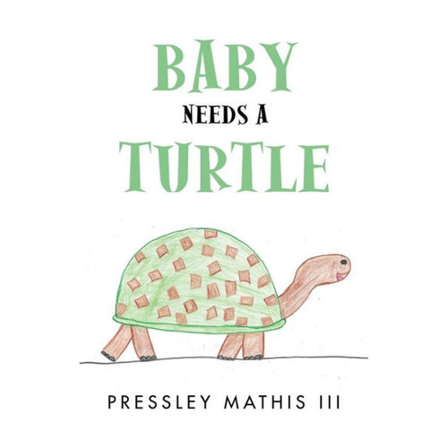 Baby Needs A Turtle