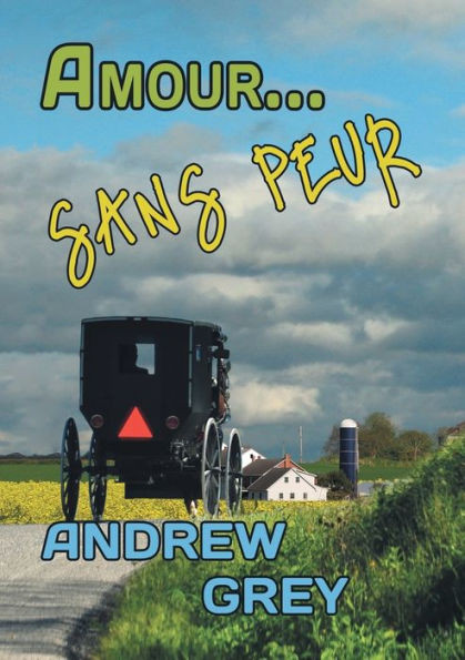 Amour... Sans Peur (French Edition)