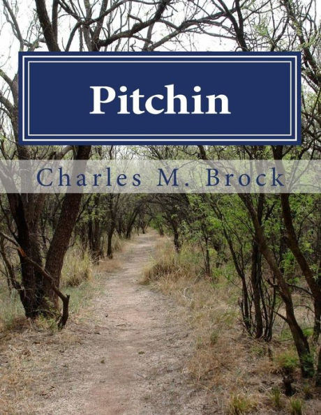 Pitchin: The Story Of An Early Illinois Colony, Its Civil War Participation, And A Family Remembrance