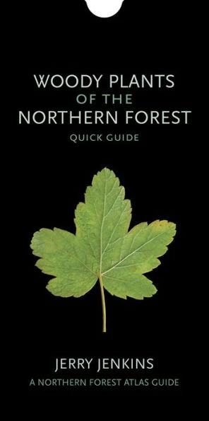 Woody Plants Of The Northern Forest: Quick Guide (The Northern Forest Atlas Guides)