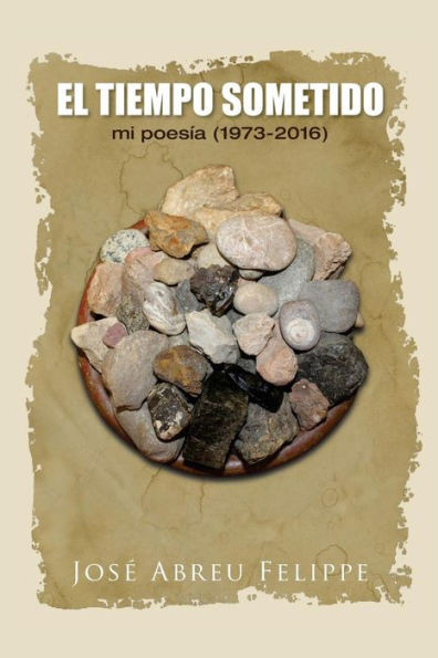 El Tiempo Sometido (Spanish Edition)