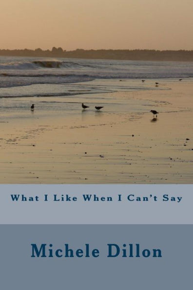 What I Like When I Can'T Say