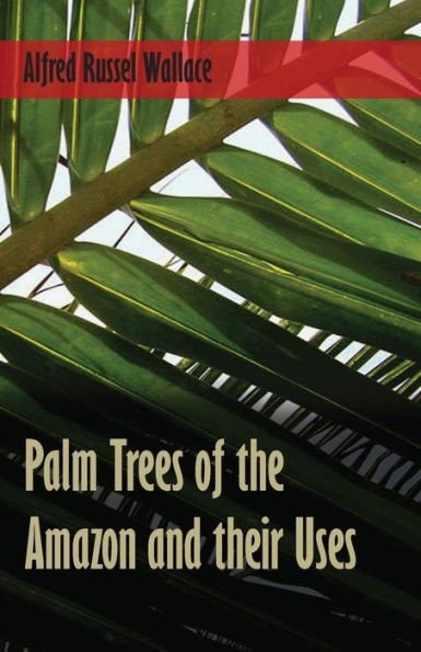 Palm Trees Of The Amazon And Their Uses