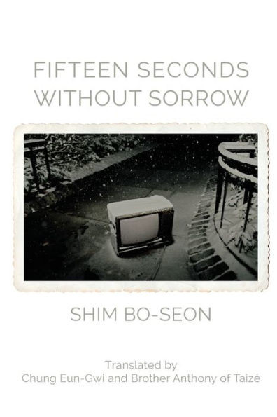 Fifteen Seconds Without Sorrow
