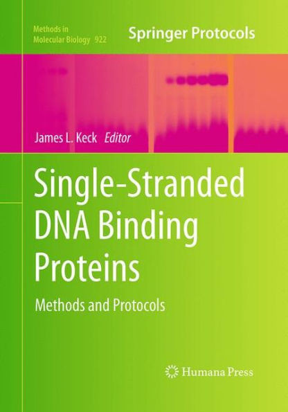 Single-Stranded Dna Binding Proteins: Methods And Protocols (Methods In Molecular Biology, 922)