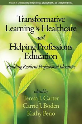 Transformative Learning In Healthcare And Helping Professions Education: Building Resilient Professional Identities (Adult Learning In Professional, Organizational, And Community Settings)