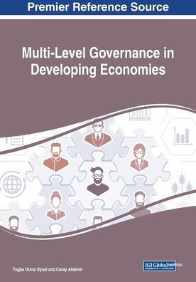 Multi-Level Governance In Developing Economies