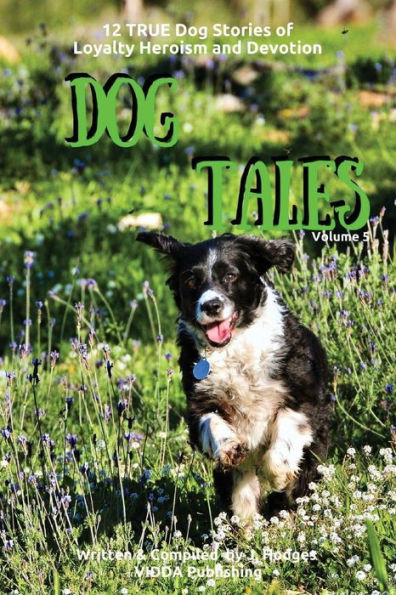 Dog Tales: 12 True Dog Stories Of Loyalty, Heroism And Devotion