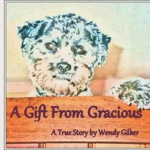 A Gift From Gracious: A True Story