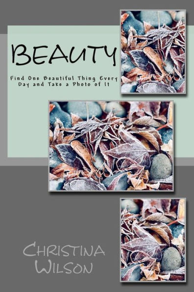 Beauty: Find One Beautiful Thing Every Day and Take a Photo of It