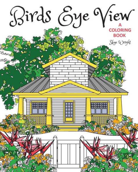 Birds Eye View Coloring Book