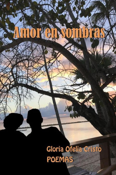Amor en sombras (Spanish Edition)