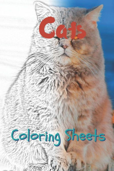 Cat Coloring Sheets: 30 cat drawings,coloring sheets adults relaxation, coloring book for kids, for girls, volume 2