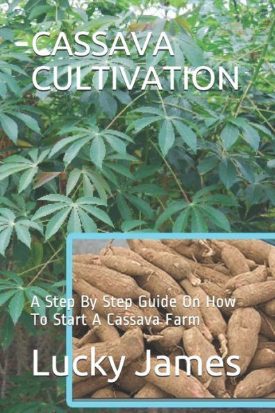 CASSAVA CULTIVATION: A Step By Step Guide On How To Start A Cassava Farm