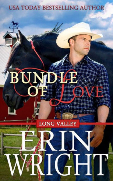 Bundle of Love: A Secret Baby Western Romance (Cowboys of Long Valley Romance)