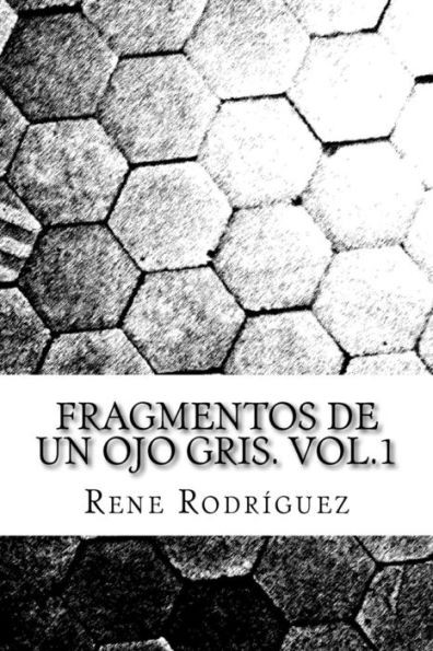 Fragmentos de un ojo gris. (Spanish Edition)