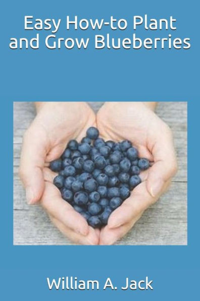 Easy How-to Plant and Grow Blueberries