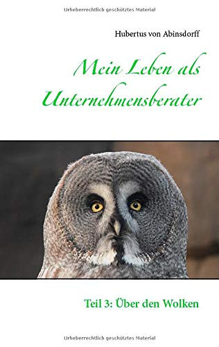 Mein Leben als Unternehmensberater: Teil 3: Über den Wolken (German Edition)