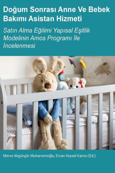 Dogum Sonrasi Anne Ve Bebek Bakimi Asistan Hizmeti (Turkish Edition)