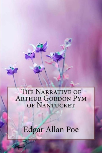 The Narrative Of Arthur Gordon Pym Of Nantucket Edgar Allan Poe