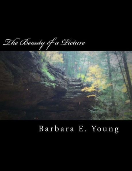 The Beauty Of A Picture : A Collection Of My Photography