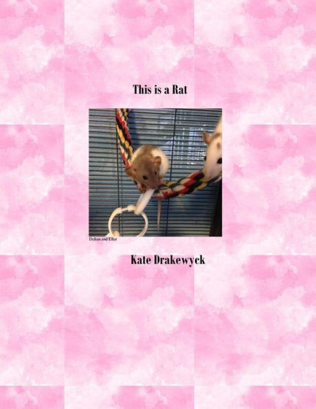 This Is A Rat