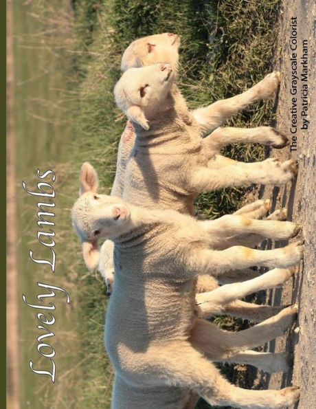 Lovely Lambs : The Creative Grayscale Colorist