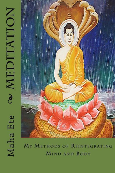 Meditation : My Methods Of Reintegrating Mind And Body