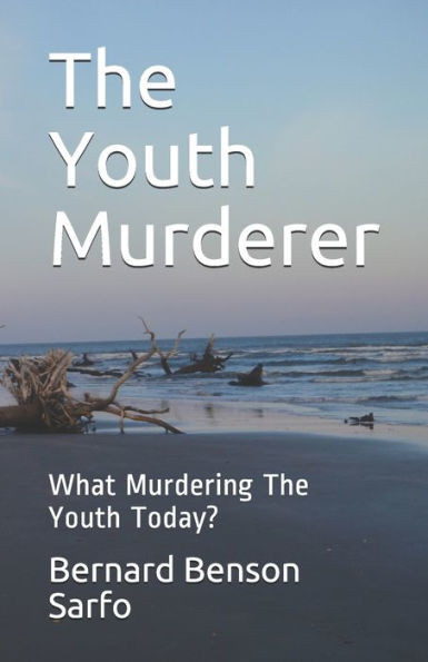 The Youth Murderer : What Murdering The Youth Today?