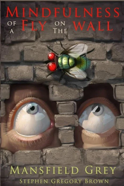 Mindfulness Of A Fly On The Wall : A Journey To Mind, Body, And Soul