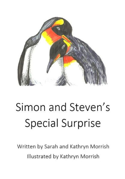 Simon And Steven'S Special Surprise