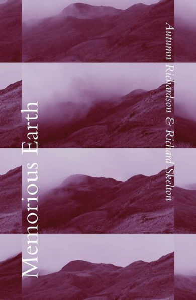 Memorious Earth : A Longitudinal Study