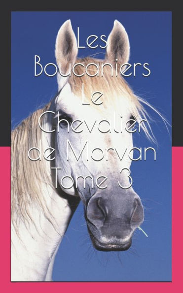 Les Boucaniers Le Chevalier De Morvan Tome 3