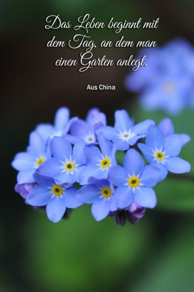 Mein Geliebter Garten