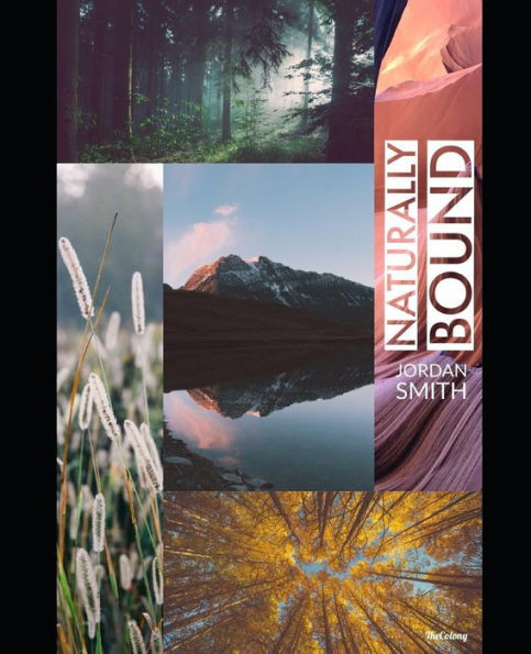 Naturally Bound : Labyrinth Of Thoughts