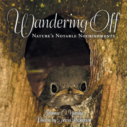 Wandering Off : Nature'S Notable Nourishments