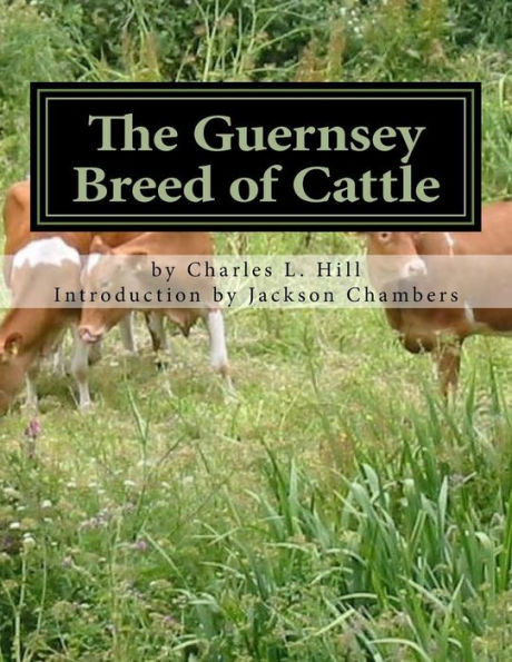The Guernsey Breed Of Cattle