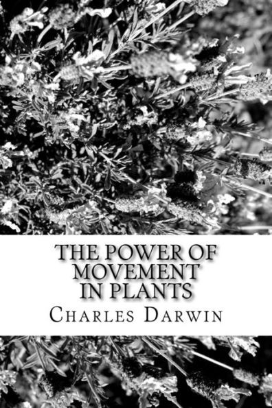 The Power Of Movement In Plants