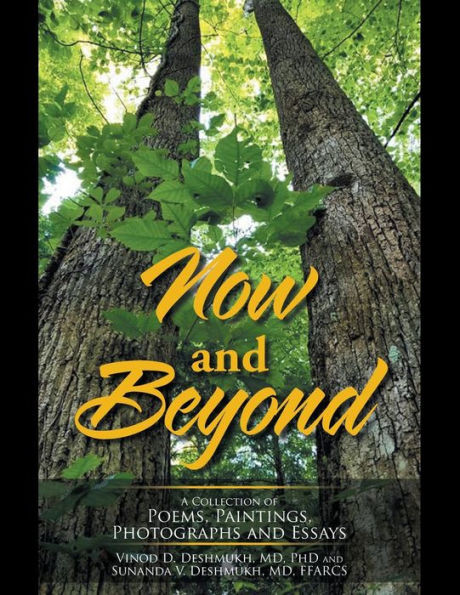 Now And Beyond : A Collection Of Poems, Paintings, Photographs And Essays