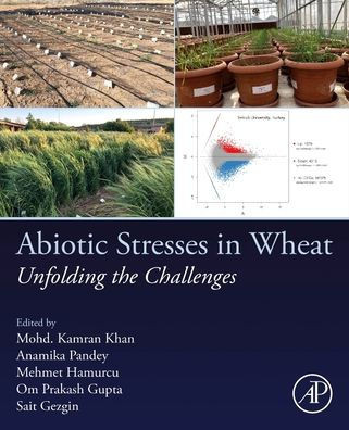 Abiotic Stresses In Wheat: Unfolding The Challenges