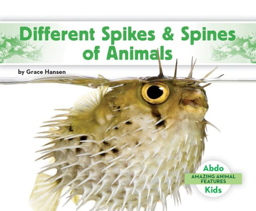 Different Spikes & Spines Of Animals (Amazing Animal Features)